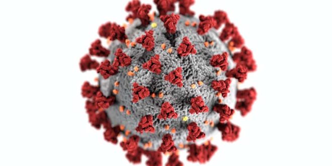 Sem vacina, contaminação em massa pelo coronavírus é inevitável