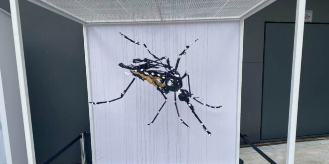 Prevenção à dengue é tema de exposição promovida pela Takeda em São Paulo