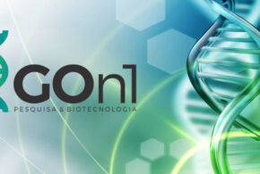 Startup capixaba GOn1 é destaque na vanguarda de pesquisas em neurociência usando biotecnologia de ponta