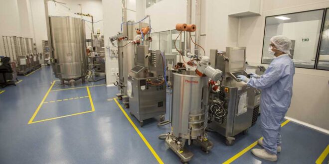 Como é feito um medicamento? Conheça as etapas que garantem a segurança e a eficácia dos remédios produzidos no Brasil