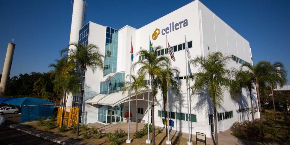 Cellera Farma amplia acesso digital às informações de medicamentos